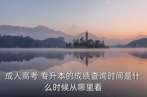 成人高考 專升本的成績查詢時間是什么時候從哪里看