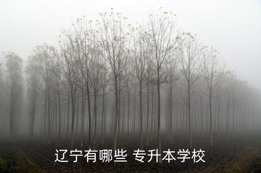 大連醫(yī)科大學專升本錄取查詢