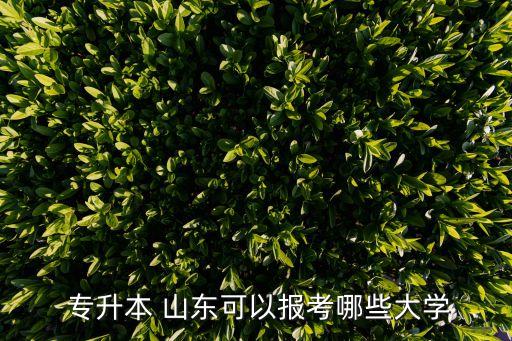  專升本 山東可以報(bào)考哪些大學(xué)