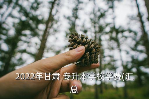 2022年甘肅 專升本學校學費(匯總
