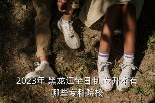 2023年 黑龍江全日制 專升本有哪些?？圃盒? class=