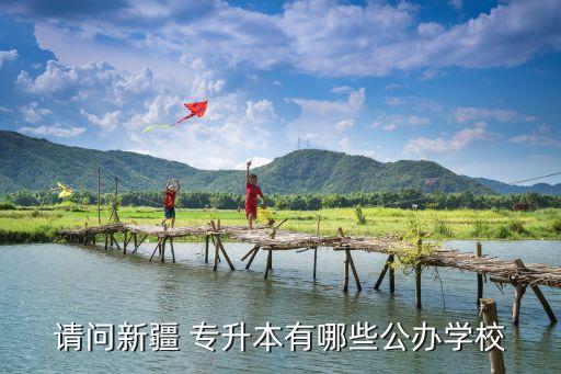 請問新疆 專升本有哪些公辦學(xué)校