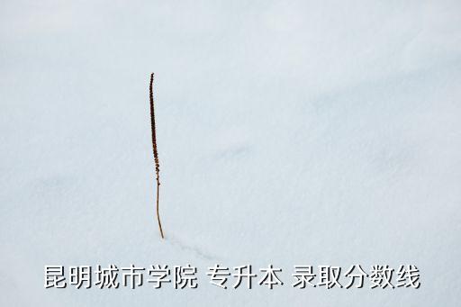 昆明城市學院 專升本 錄取分數(shù)線