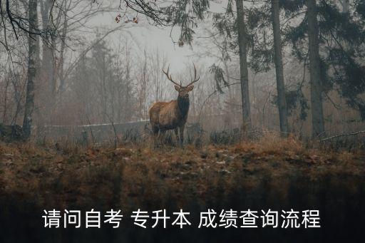 請(qǐng)問自考 專升本 成績查詢流程