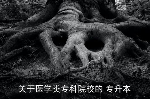 南方醫(yī)科大學可以專升本嗎