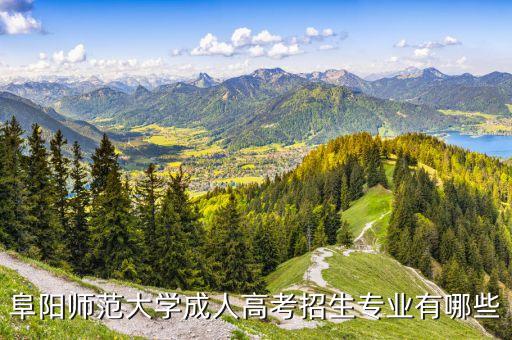 阜陽師范大學成人高考招生專業(yè)有哪些