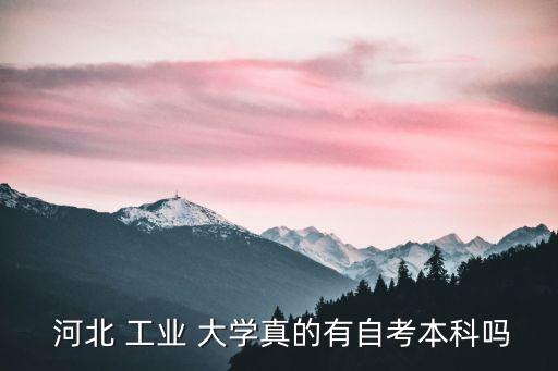  河北 工業(yè) 大學真的有自考本科嗎