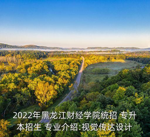 2022年黑龍江財(cái)經(jīng)學(xué)院統(tǒng)招 專升本招生 專業(yè)介紹:視覺(jué)傳達(dá)設(shè)計(jì)