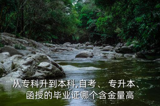 從?？粕奖究?自考、 專升本、 函授的畢業(yè)證哪個(gè)含金量高