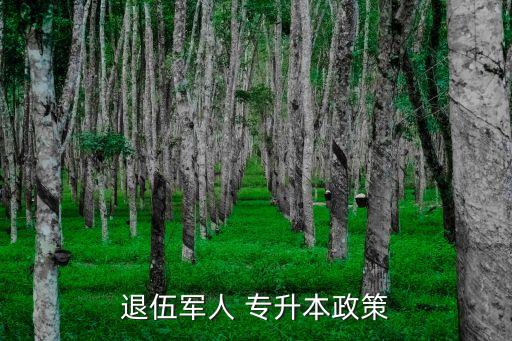 部隊士兵專升本,大專畢業(yè)生士兵部隊專升本政策