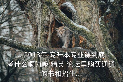 精英專升本論壇,合肥精英專升本怎么樣