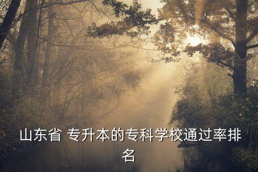  山東省 專升本的專科學(xué)校通過率排名