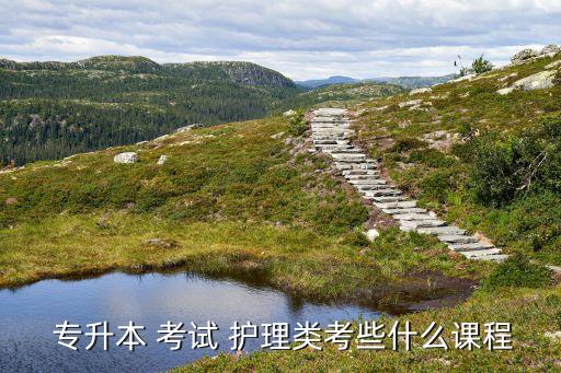  專(zhuān)升本 考試 護(hù)理類(lèi)考些什么課程