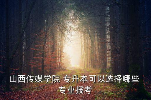 藝術(shù)專升本學(xué)校有哪些專業(yè),山東省藝術(shù)專升本的學(xué)校有哪些