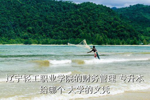 遼寧輕工職業(yè)學院的財務管理 專升本給哪個 大學的文憑