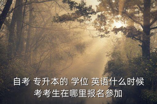 自考 專升本的 學(xué)位 英語什么時(shí)候考考生在哪里報(bào)名參加