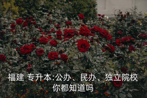 福建 專升本:公辦、民辦、獨立院校你都知道嗎