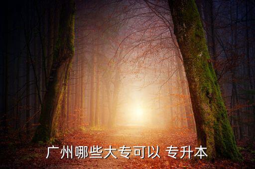 廣州哪些大?？梢?專升本