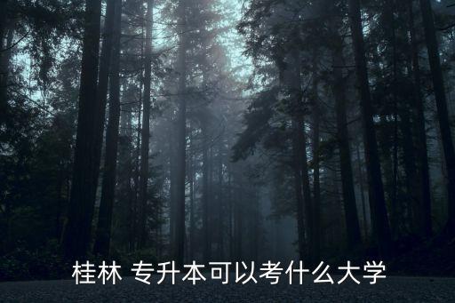  桂林 專(zhuān)升本可以考什么大學(xué)