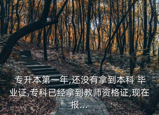  專升本第一年,還沒有拿到本科 畢業(yè)證,專科已經(jīng)拿到教師資格證,現(xiàn)在報...