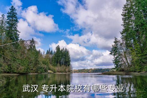武昌理工音樂(lè)類專升本
