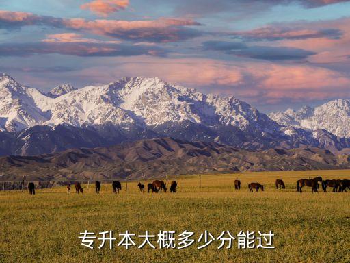 成考專升本要考多少分過(guò)