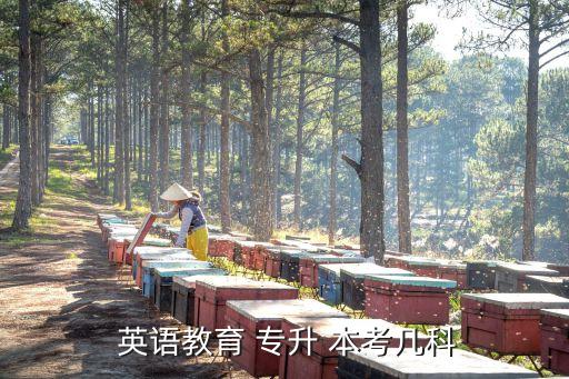 山東英語專升本考什么,山東專升本英語和政治考哪個