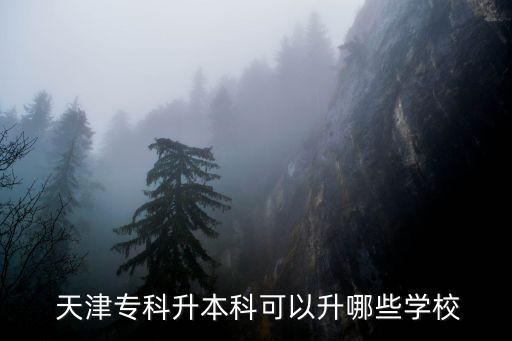  天津?qū)？粕究瓶梢陨男W(xué)校