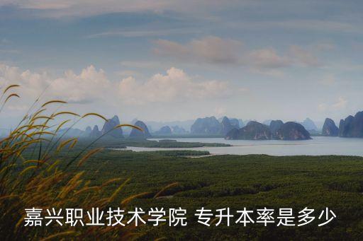 嘉興職業(yè)技術(shù)學(xué)院 專升本率是多少