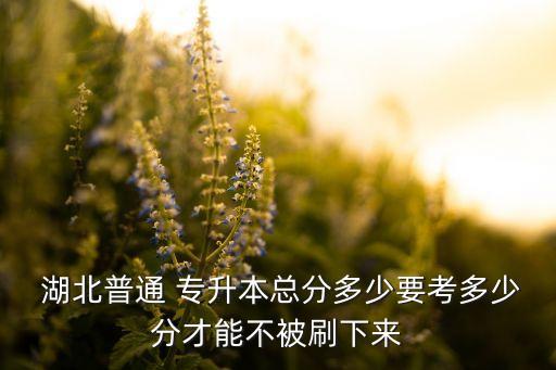  湖北普通 專升本總分多少要考多少分才能不被刷下來(lái)