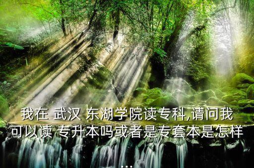 我在 武漢 東湖學(xué)院讀?？?請問我可以讀 專升本嗎或者是專套本是怎樣...