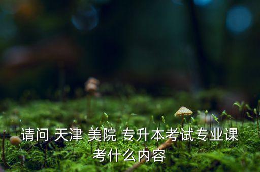 請(qǐng)問(wèn) 天津 美院 專(zhuān)升本考試專(zhuān)業(yè)課考什么內(nèi)容