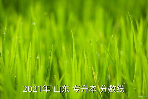2021年 山東 專升本 分?jǐn)?shù)線