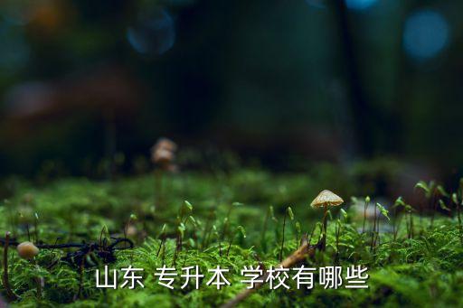 臨沂專升本培訓(xùn)學(xué)校,臨沂裝修設(shè)計培訓(xùn)學(xué)校