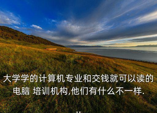 大學(xué)學(xué)的計(jì)算機(jī)專(zhuān)業(yè)和交錢(qián)就可以讀的電腦 培訓(xùn)機(jī)構(gòu),他們有什么不一樣...