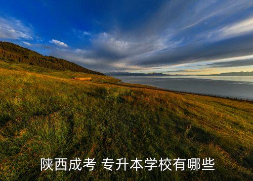  陜西成考 專(zhuān)升本學(xué)校有哪些