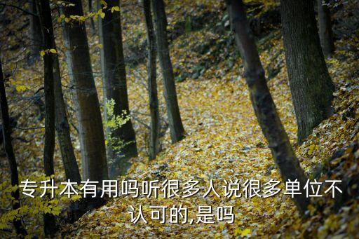 淅江傳媒學(xué)院專(zhuān)升本學(xué)位證被認(rèn)可嗎