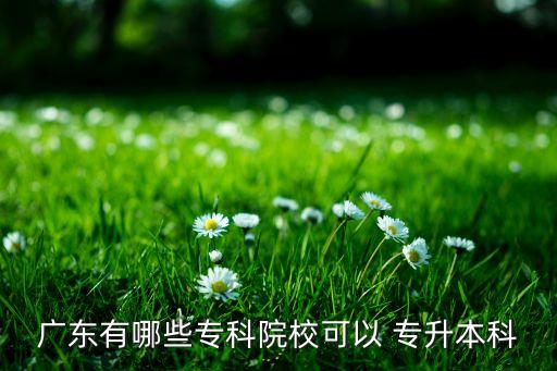 廣東有哪些?？圃盒？梢?專升本科