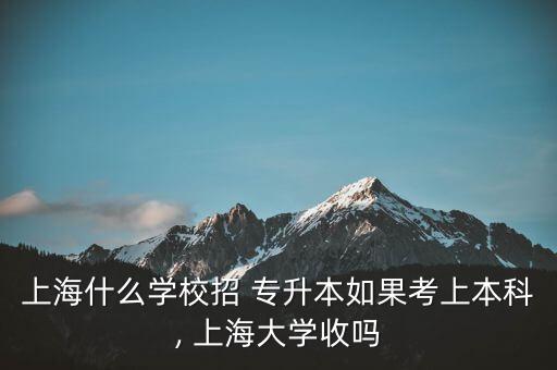 上海什么學校招 專升本如果考上本科, 上海大學收嗎