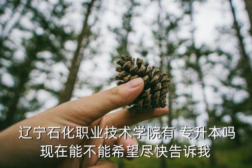  遼寧石化職業(yè)技術(shù)學(xué)院有 專(zhuān)升本嗎現(xiàn)在能不能希望盡快告訴我