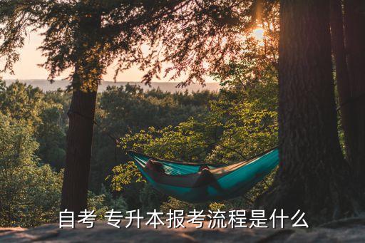 專升本前置學歷怎么弄