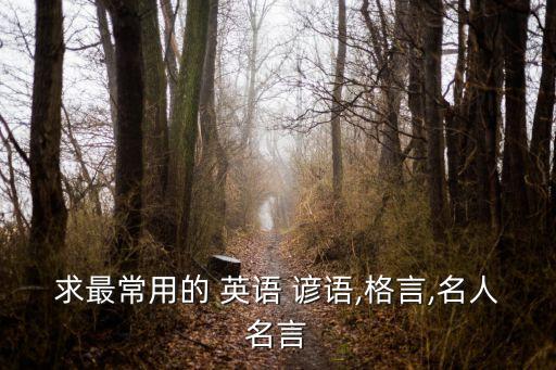 專升本?？加⒄Z諺語,初中?？加⒄Z諺語12句