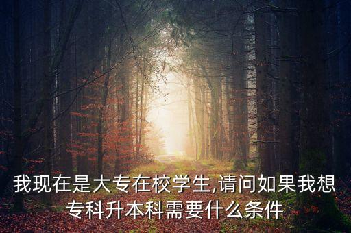 我現(xiàn)在是大專在校學(xué)生,請(qǐng)問(wèn)如果我想專科升本科需要什么條件