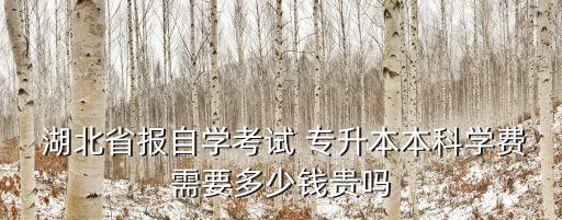  湖北省報自學(xué)考試 專升本本科學(xué)費需要多少錢貴嗎