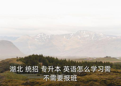湖北 統(tǒng)招 專升本 英語怎么學(xué)習(xí)需不需要報(bào)班
