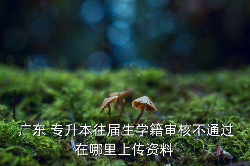  廣東 專升本往屆生學籍審核不通過在哪里上傳資料