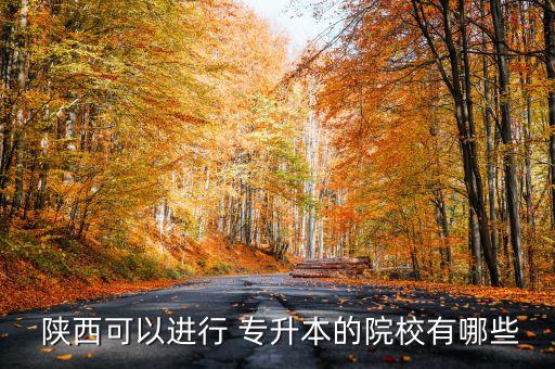 陜西專升本文科學校有哪些專業(yè)嗎