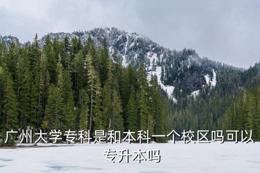 廣州大學(xué)專科是和本科一個(gè)校區(qū)嗎可以 專升本嗎