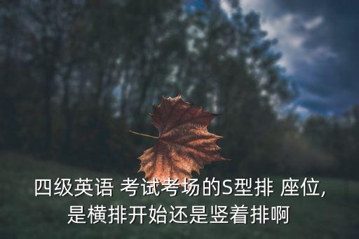 四級(jí)英語(yǔ) 考試考場(chǎng)的S型排 座位,是橫排開(kāi)始還是豎著排啊