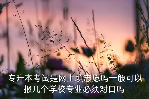  專升本考試是網(wǎng)上填志愿嗎一般可以報幾個學校專業(yè)必須對口嗎